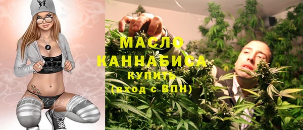 гашик Дмитриев