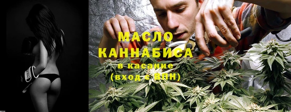хмурый Дмитровск