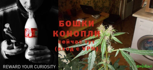 хмурый Дмитровск