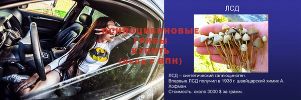 синтетический гашиш Дмитров