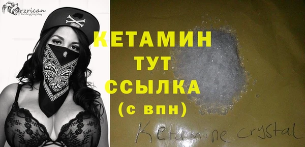 гашик Дмитриев