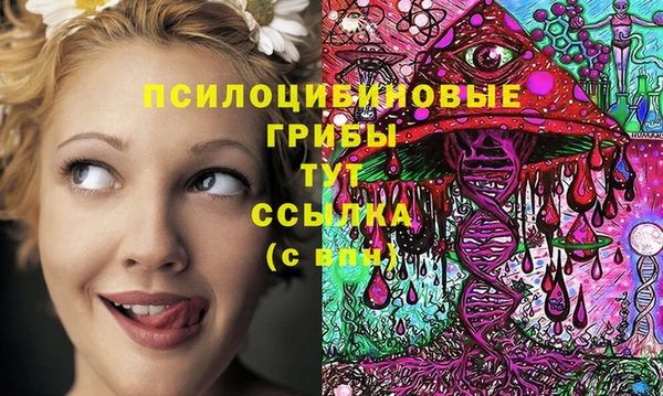 гашик Дмитриев